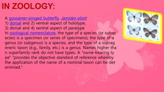 IN ZOOLOGY:
A gossamer-winged butterfly, Jamides elioti:
1) dorsal and 2) ventral aspect of holotype,
3) dorsal and 4) ventral aspect of paratype
In zoological nomenclature, the type of a species (or subsp
ecies) is a specimen (or series of specimens), the type of a
genus (or subgenus) is a species, and the type of a suprag
eneric taxon (e.g., family, etc.) is a genus. Names higher tha
n superfamily rank do not have types. A "name-bearing ty
pe" "provides the objective standard of reference whereby
the application of the name of a nominal taxon can be det
ermined."
 
