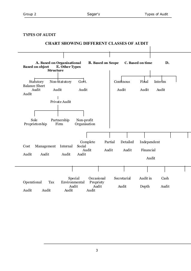 Chart Showing Objectives Of Auditing