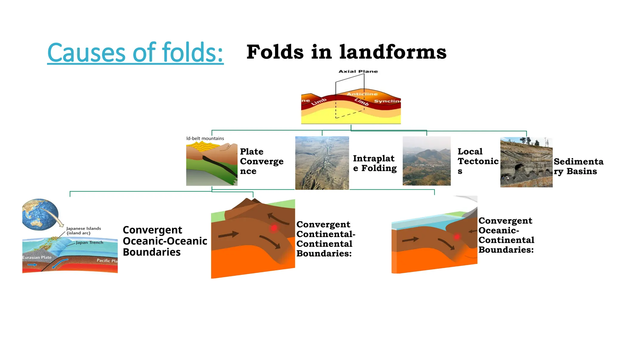 Folds in landforms
Sedimenta
ry Basins
Local
Tectonic
s
Intraplat
e Folding
Plate
Converge
nce
Convergent
Oceanic-
Continental
Boundaries:
Convergent
Continental-
Continental
Boundaries:
Convergent
Oceanic-Oceanic
Boundaries
Causes of folds:
 