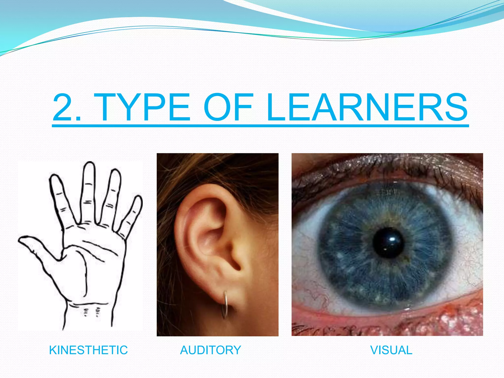2. TYPE OF LEARNERS

KINESTHETIC

AUDITORY

VISUAL

 