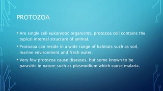 type of microbes & growth (kabashor).pptx | Biological Sciences | Science
