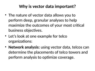 Vector Daily Data type of vector data in vectors and geometries | PPTX