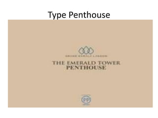 Type Penthouse
 
