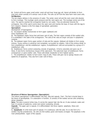 4. Czntral cell forms upper small venter canal cell and lover large egg cell. Apical cell divides to form
long neck which consists of 6 vertical rows of cells. The cells cut off from the base foem neck canal cells.
Fertilization:
The sex organs dehisce in the presence of water. The venter canal cell and the neck canal cells dissolve
to form mucilage. This mucilage exerts pressure and the neck opens out. The mucilage comes out of the
neck. The sperms reached the archegonial heads by rain water. They are attracted towards the
archegonia. One of the sperm swims down the open neck and reaches the base. It fuses with the egg to
form oospore. Oospore is the first stage of sporophytic generation.
Sporophyte
Development of Sporogonium
1. me oospore divides transversely to form upper (epibazal) and
lower (hypobasal) cell.
2. The hypobasal region forms foot and lower part of seta. The foot region consists of thin-walled cells.
It is embedded ir the stalk of the archegonium. The cells of the seta are larger and poor in cytoplasmic
contents.
3. The epibasal region forms upper portion of seta and the capsule. Epibasal cell divides to form young
embryo. Young embryo is cylindrical and completely surrounded by calyptra. Cells of the embryo divide to
form amphithecium and the endothecium regions. 8-amphithecium cells are surrounded by a group of 4-
endothecium cells.
4. Endothecium forms central conducting strands of apophysis. It forms columella and spore sac of
theca. It also forms membranous tissues of the operculum. The outermost layer of endothecium forms
archesporium or spore mother cells. These cells divide meiotically to form haploid spores.
5. The amphithecium divides to form seven rings of cells. These cells give rise to spongy tissues and
epidermis of apophvsis. They also form outer wall of theca.
Structure of Mature Sporogonium (Sporophyte)
The mature sporogonium is differentiated into foot, seta and capsule. Foot.: The foot is buried deep in
the tissue of gametophyte. It is absorptive in function. It consists of thin-walled narrow cells containing
dense cytoplasm.
Seta: The seta is several inches long. It carries the capsule high into the air. It also conducts water and
food. It consists of epidermis, cortex and central conducting strands.
Capsule: The upper part is capsule. It is differentiated into three regions: apophysis, theca and
operculum.
1. Apophysis: It is the lower part of capsule. It is continuous with the seta. It is in the form of a
swollen ring-like protuberance. Its cells are thin-walled, green and loosely arranged. The apophysis is the
main photosynthetic region of the capsule.
 