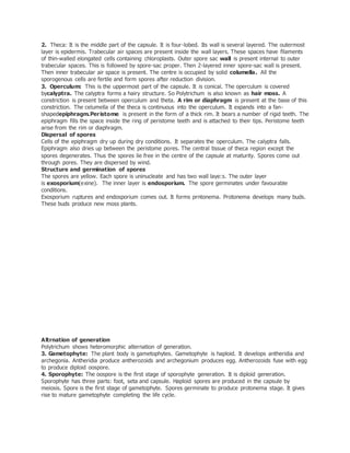 2. Theca: It is the middle part of the capsule. It is four-lobed. Its wall is several layered. The outermost
layer is epidermis. Trabecular air spaces are present inside the wall layers. These spaces have filaments
of thin-walled elongated cells containing chloroplasts. Outer spore sac wall is present internal to outer
trabecular spaces. This is followed by spore-sac proper. Then 2-layered inner spore-sac wall is present.
Then inner trabecular air space is present. The centre is occupied by solid columella. All the
sporogenous cells are fertile and form spores after reduction division.
3. Operculum: This is the uppermost part of the capsule. It is conical. The operculum is covered
bycalyptra. The calyptra forms a hairy structure. So Polytrichum is also known as hair moss. A
constriction is present between operculum and theta. A rim or diaphragm is present at the base of this
constriction. The celumella of the theca is continuous into the operculum. It expands into a fan-
shapedepiphragm.Peristome is present in the form of a thick rim. It bears a number of rigid teeth. The
epiphragm fills the space inside the ring of peristome teeth and is attached to their tips. Peristome teeth
arise from the rim or diaphragm.
Dispersal of spores
Cells of the epiphragm dry up during dry conditions. It separates the operculum. The calyptra falls.
Epiphragm also dries up between the peristome pores. The central tissue of theca region except the
spores degenerates. Thus the spores lie free in the centre of the capsule at maturity. Spores come out
through pores. They are dispersed by wind.
Structure and germination of spores
The spores are yellow. Each spore is uninucleate and has two wall laye:s. The outer layer
is exosporium(exine). The inner layer is endosporium. The spore germinates under favourable
conditions.
Exosporium ruptures and endosporium comes out. It forms prntonema. Protonema develops many buds.
These buds produce new moss plants.
Altrnation of generation
Polytrichum shows heteromorphic alternation of generation.
3. Gametophyte: The plant body is gametophytes. Gametophyte is haploid. It develops antheridia and
archegonia. Antheridia produce antherozoids and archegonium produces egg. Antherozoids fuse with egg
to produce diploid oospore.
4. Sporophyte: The oospore is the first stage of sporophyte generation. It is diploid generation.
Sporophyte has three parts: foot, seta and capsule. Haploid spores are produced in the capsule by
meiosis. Spore is the first stage of gametophyte. Spores germinate to produce protonema stage. It gives
rise to mature gametophyte completing the life cycle.
 