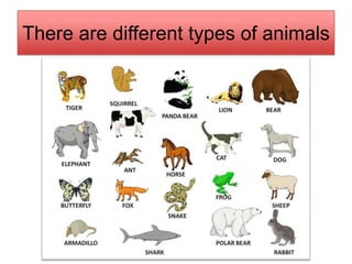 Types of Animals | PPTX