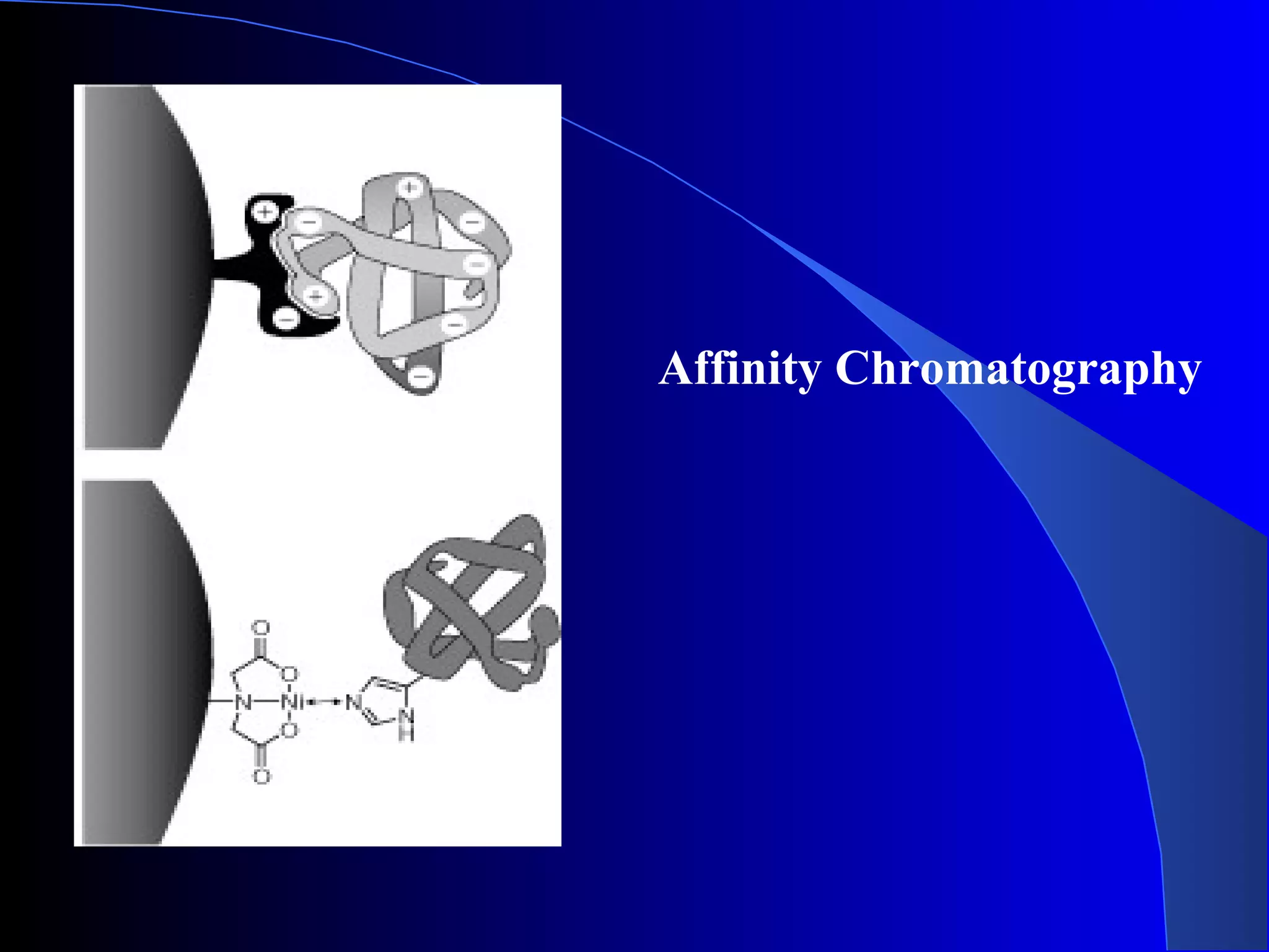 Affinity Chromatography
 