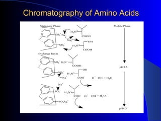 Chromatography of Amino Acids
    Stationary Phase                                                                           Mobile Phase
                                                    +
                                            H3N
                        -
               SO3 Na+
                                                                COOH
                                            +
                                        Na
                                                                         OH
                                    -                   +
                    SO3                         H3 N
                                                                COOH
   Exchange Resin

                    -
              SO3 H3N+
                                                COOH
                                                                                                   pH3.5
                                                                OH
                                -
                    SO3                         +
                                        H3 N
                                        +                       -             +      -
                            Na                      COO                   H       OH = H 2 O

                            +
                    Na

                     -
               SO3                  H3 N
                                            +
                                                            -        +        -
                                                COO              H        OH = H 2 O
                                -
                    SO3Na+

                                                                                                  pH4.5
 