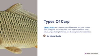 Types Of Carp 11111111111111111111111111 | PPTX
