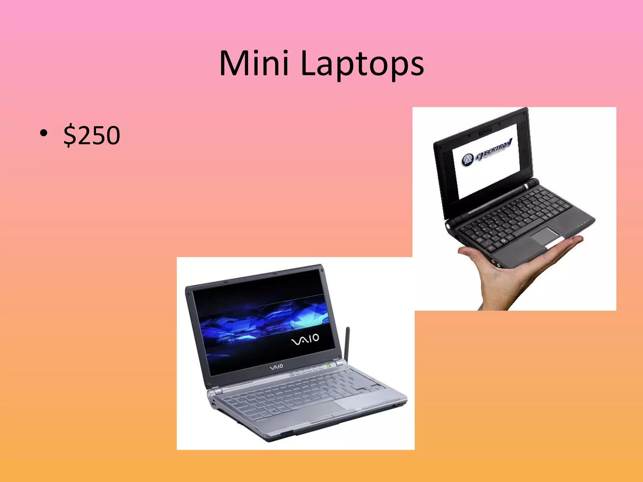 Mini Laptops $250