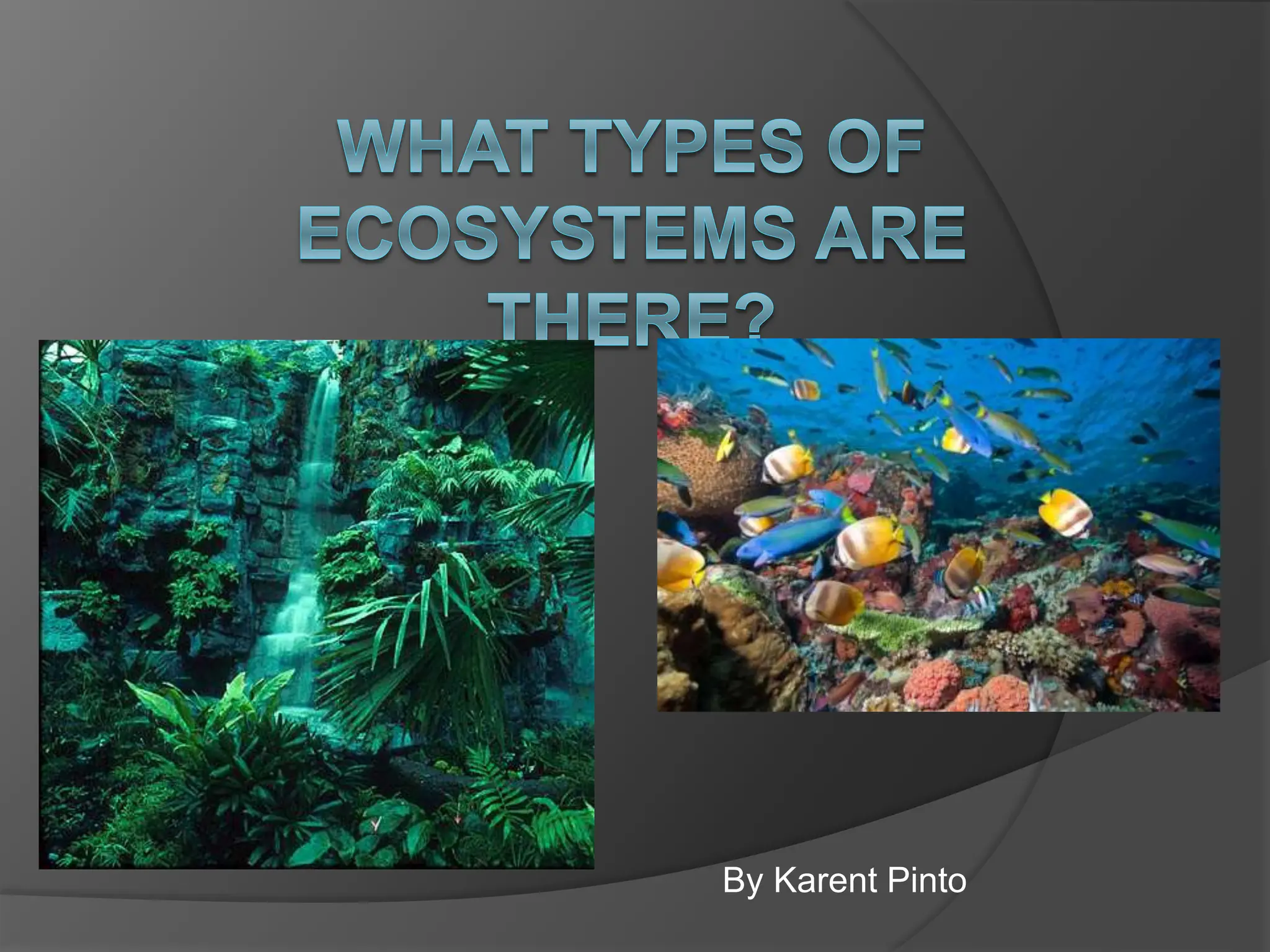 Types Ans Descriptions Of Ecosystems Of Ecosystems Of Ecosystems Of Ecosystems For Children Pptx Types Ans Descriptions Of Ecosystems Of Ecosystems Of Ecosystems Of Ecosystems For Children Pptx