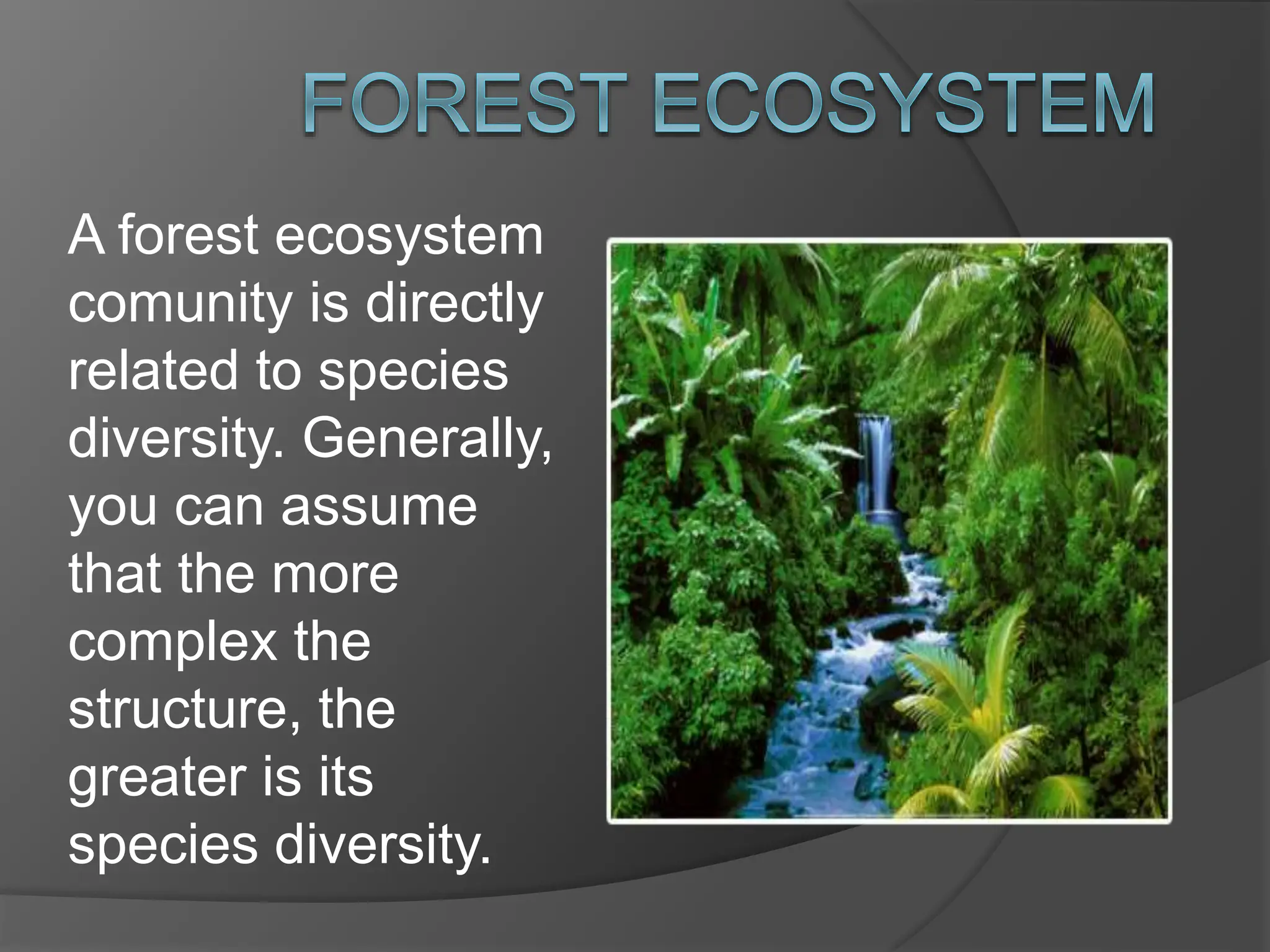 Types Ans Descriptions Of Ecosystems Of Ecosystems Of Ecosystems Of Ecosystems For Children Pptx Types Ans Descriptions Of Ecosystems Of Ecosystems Of Ecosystems Of Ecosystems For Children Pptx