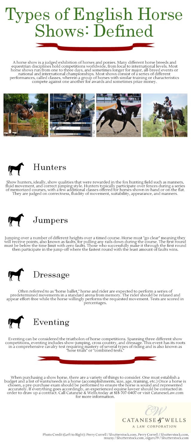 Types of English Horse Shows Defined