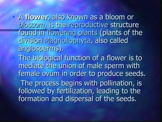 A  flower , also known as a bloom or  blossom , is the  reproductive  structure found in  flowering plants  (plants of the division  Magnoliophyta , also called angiosperms).  The biological function of a flower is to mediate the union of male sperm with female ovum in order to produce seeds. The process begins with pollination, is followed by fertilization, leading to the formation and dispersal of the seeds.  