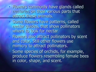 Flowers commonly have glands called  nectaries  on their various parts that attract these animals.  Some flowers have patterns, called nectar guides, that show pollinators where to look for nectar  Flowers also attract pollinators by scent and color. Still other flowers use mimicry to attract pollinators.  Some species of orchids, for example, produce flowers resembling female bees in color, shape, and scent.  