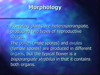 Morphology Flowering plants are  heterosporangiate , producing two types of reproductive  spores .  The  pollen  (male spores) and  ovules  (female spores) are produced in different  organs , but the typical flower is a  bisporangiate strobilus  in that it contains both organs.  