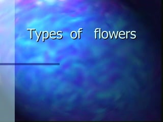 Types  of  flowers 