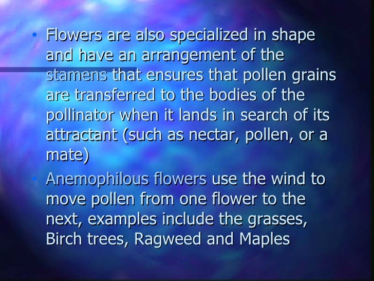 Types Of Flower