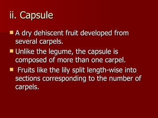 Types Of Fruits | PPT
