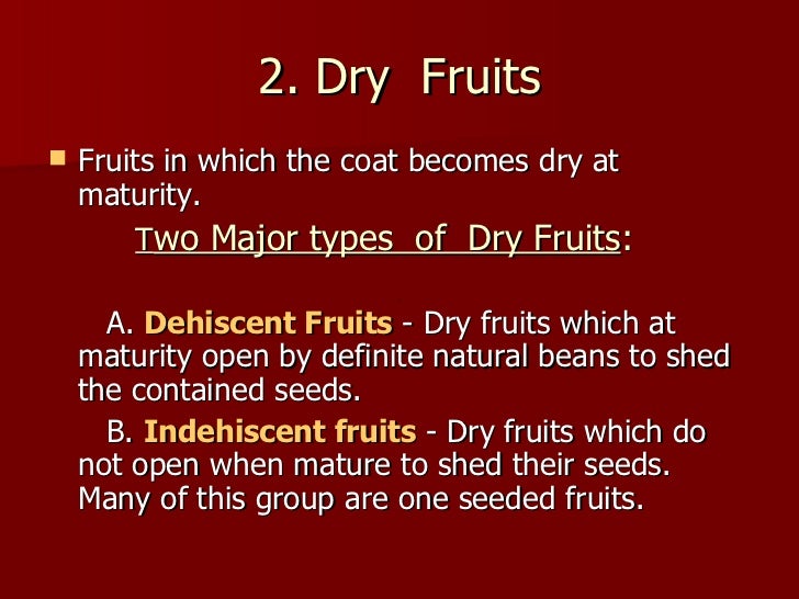 √ Fruits Definition Biology Mon Blog Jardinage