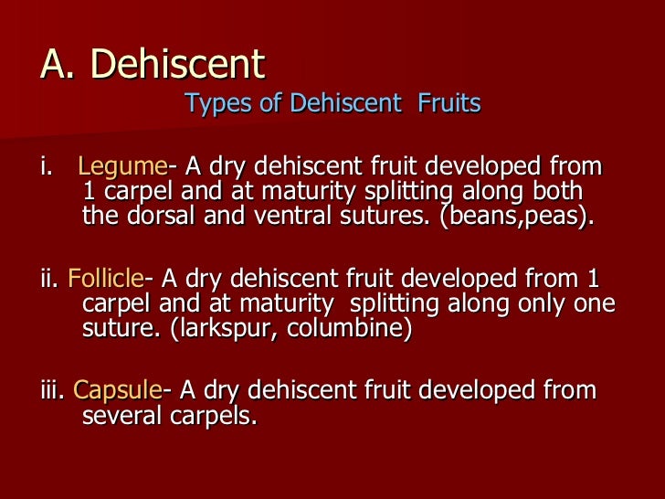 Types Of Fruits