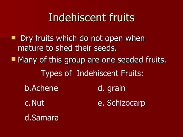 Types Of Fruits