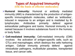 Types of Acquired Immunity
(On the basis of effector molecules)
Humoral immunity: Humoral or antibody mediated
immunity (AMI) is characterized by the production of antigen-
specific immunoglobulin molecules, called as ‘antibodies’,
induced in response to an antigen and is mediated by B-
lymphocytes. Antibodies primarily defend against
extracellular pathogens and toxins. Humoral immunity is so
named because it involves substances found in the humors,
or body fluids.
 Cell-mediated immunity: Cell-mediated immunity (CMI)
involves the activation of antigen-specific cells, such as
CTLs and macrophages, which destroys the cells harboring
antigen. Cellular immunity primarily defend against
intracellular pathogens, multicellular parasites, transplanted
tissue, and cancer cells.
 