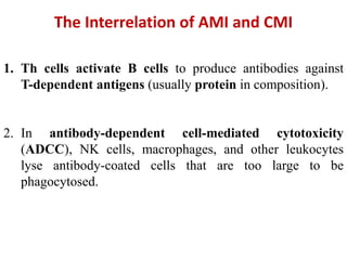 The Interrelation of AMI and CMI
1. Th cells activate B cells to produce antibodies against
T-dependent antigens (usually protein in composition).
2. In antibody-dependent cell-mediated cytotoxicity
(ADCC), NK cells, macrophages, and other leukocytes
lyse antibody-coated cells that are too large to be
phagocytosed.
 