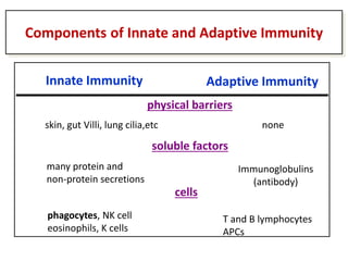 Innate Immunity Adaptive Immunity
Components of Innate and Adaptive Immunity
skin, gut Villi, lung cilia,etc
many protein and
non-protein secretions
phagocytes, NK cell
eosinophils, K cells
physical barriers
soluble factors
cells
none
Immunoglobulins
(antibody)
T and B lymphocytes
APCs
 
