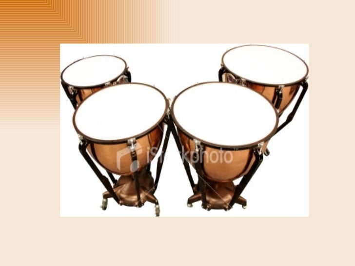 Types Of Musical Instruments