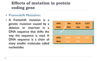 Mutation | PDF