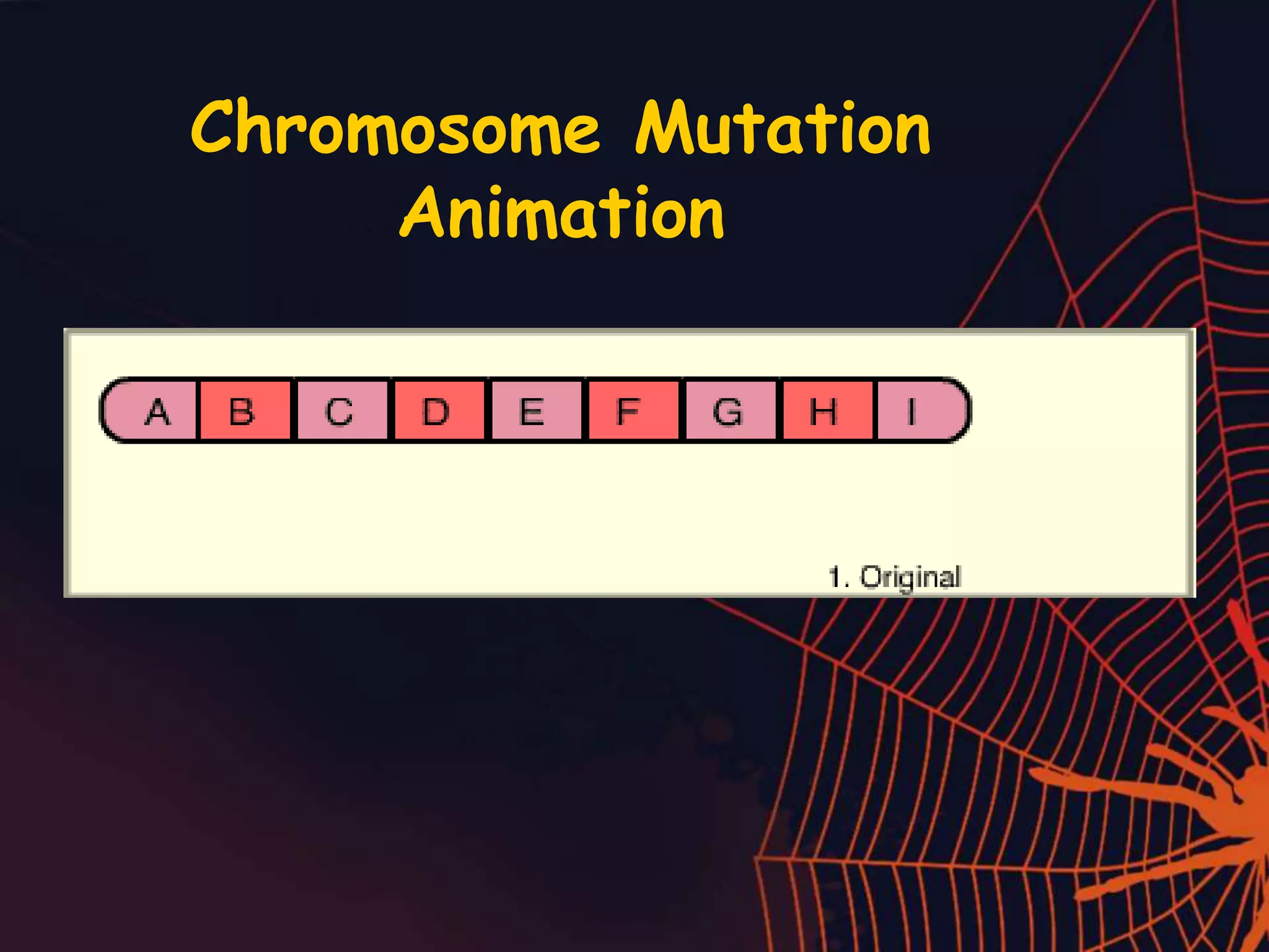 Chromosome Mutation
Animation
 