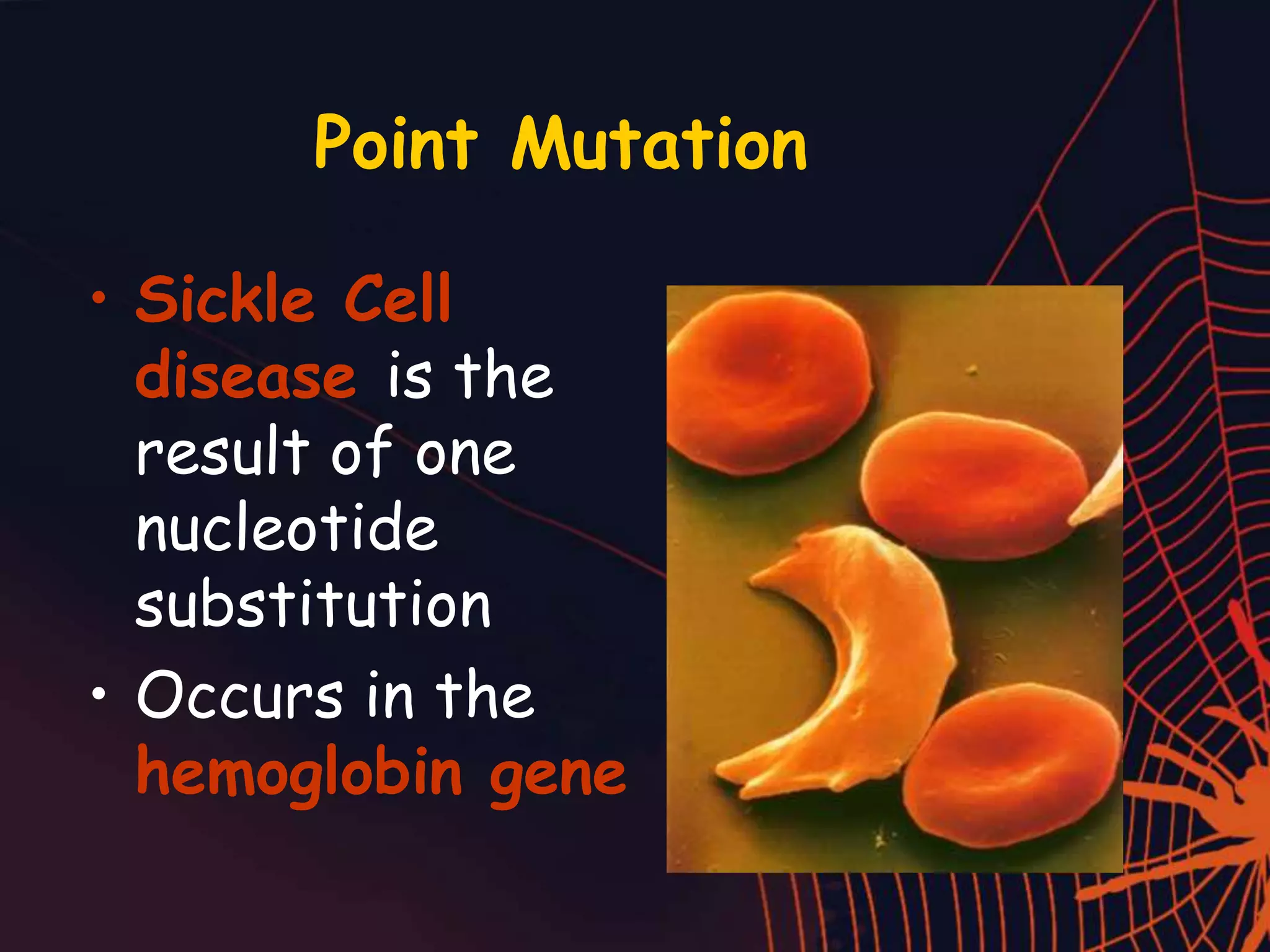 Point Mutation
• Sickle Cell
disease is the
result of one
nucleotide
substitution
• Occurs in the
hemoglobin gene
 