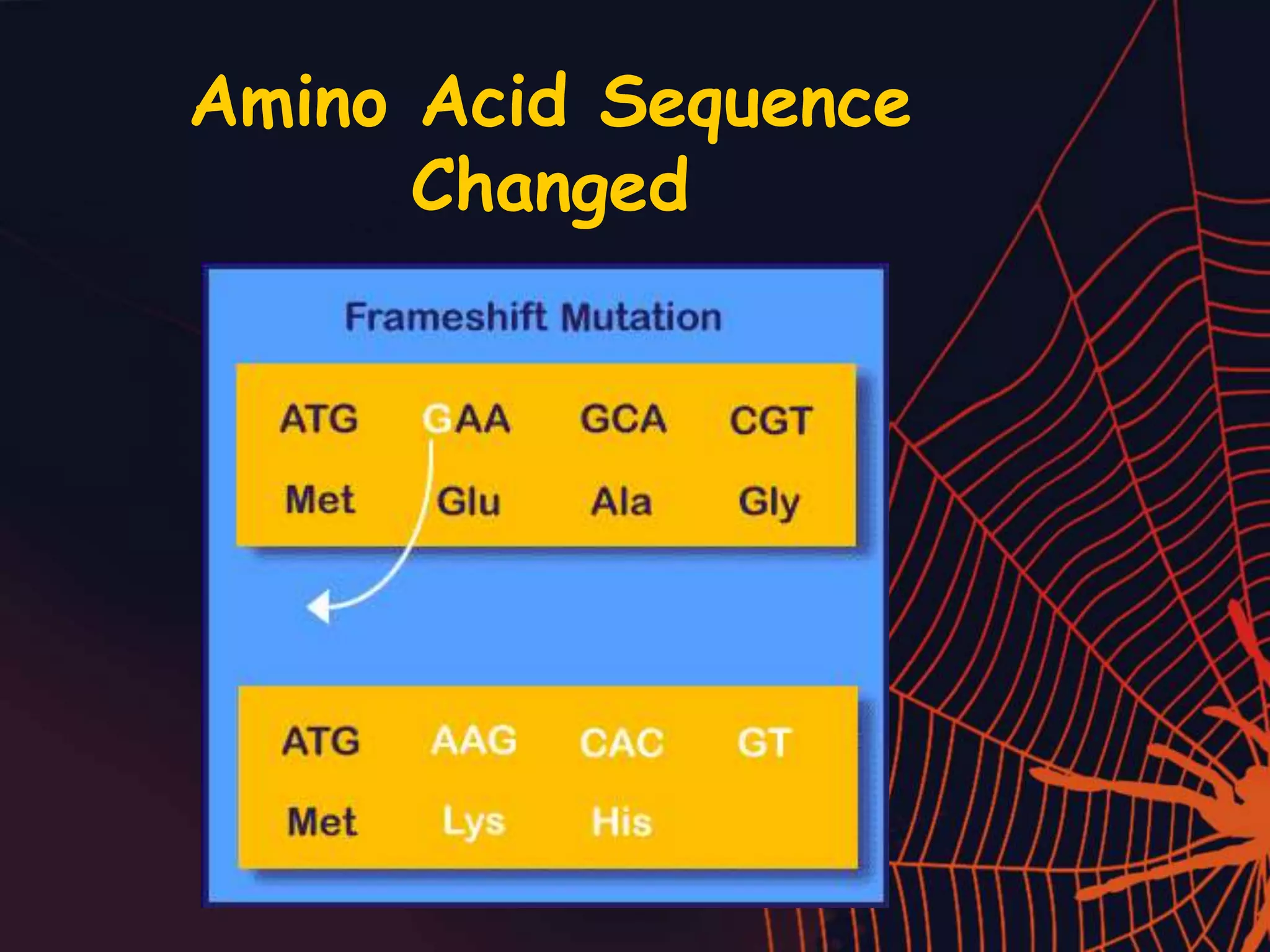 Amino Acid Sequence
Changed
 