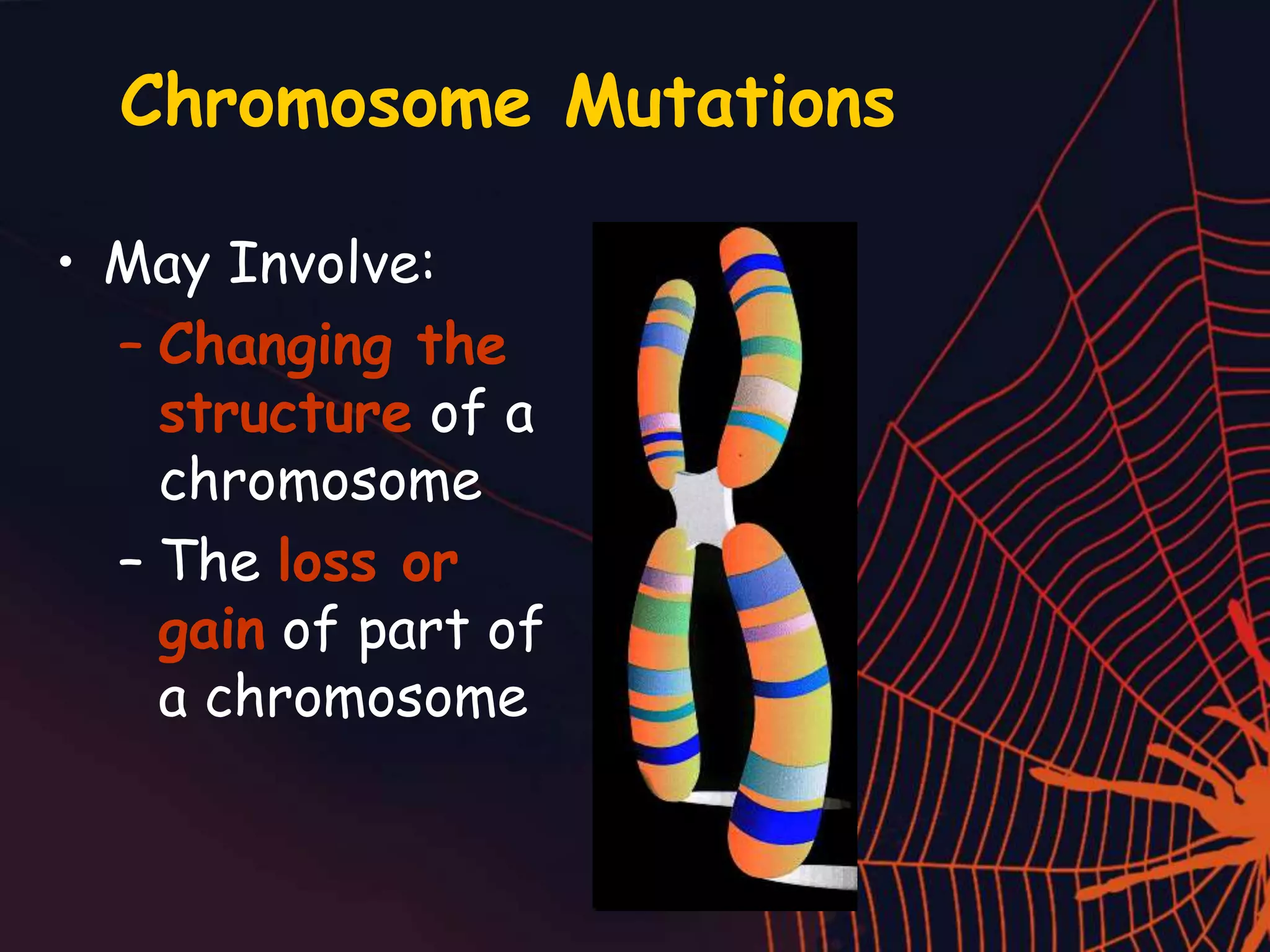 Chromosome Mutations
• May Involve:
– Changing the
structure of a
chromosome
– The loss or
gain of part of
a chromosome
 