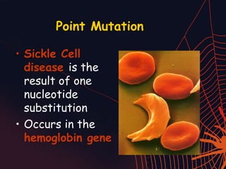 types-of-mutations.ppt for science grade 10 | PPT