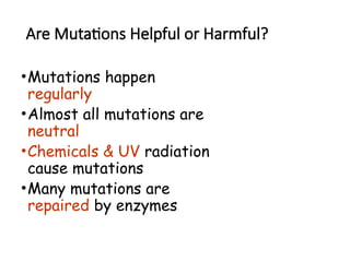 Harmless Mutations Examples Comprehensive Overview of DNA Mutations: Types, Causes, and Effects | PPT