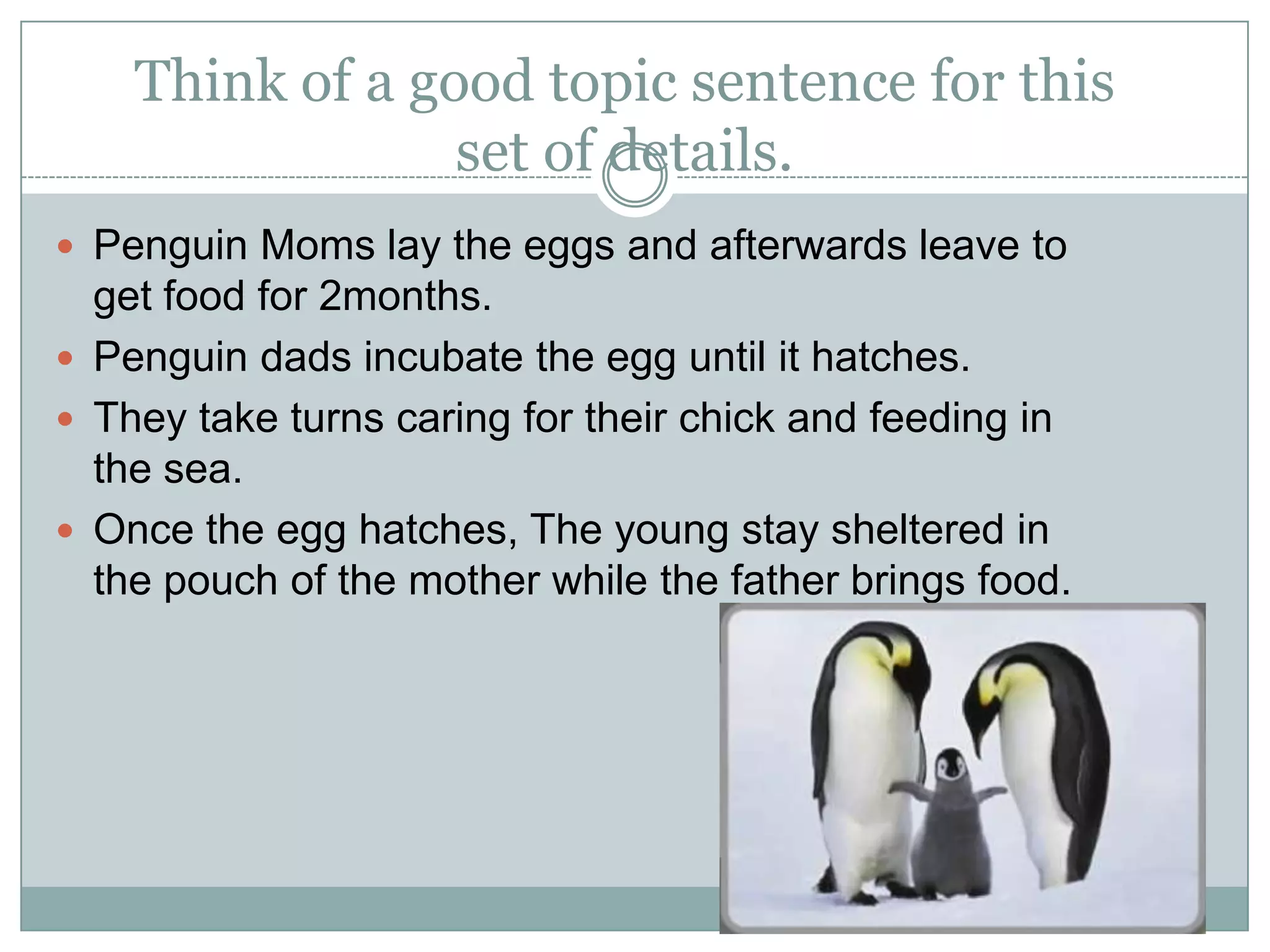 Think of a good topic sentence for this
set of details.
 Penguin Moms lay the eggs and afterwards leave to

get food for 2months.
 Penguin dads incubate the egg until it hatches.
 They take turns caring for their chick and feeding in
the sea.
 Once the egg hatches, The young stay sheltered in
the pouch of the mother while the father brings food.

 