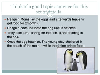 Think of a good topic sentence for this
set of details.
 Penguin Moms lay the eggs and afterwards leave to

get food for 2months.
 Penguin dads incubate the egg until it hatches.
 They take turns caring for their chick and feeding in
the sea.
 Once the egg hatches, The young stay sheltered in
the pouch of the mother while the father brings food.

 