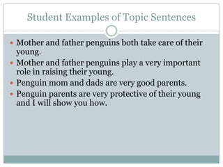 Student Examples of Topic Sentences
 Mother and father penguins both take care of their

young.
 Mother and father penguins play a very important
role in raising their young.
 Penguin mom and dads are very good parents.
 Penguin parents are very protective of their young
and I will show you how.

 