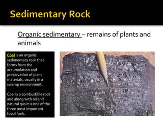 Organic sedimentary – remains of plants and
animals
Coal is an organic
sedimentary rock that
forms from the
accumulation and
preservation of plant
materials, usually in a
swamp environment.
Coal is a combustible rock
and along with oil and
natural gas it is one of the
three most important
fossil fuels.
 