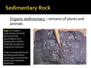 Organic sedimentary – remains of plants and
animals
Coal is an organic
sedimentary rock that
forms from the
accumulation and
preservation of plant
materials, usually in a
swamp environment.
Coal is a combustible rock
and along with oil and
natural gas it is one of the
three most important
fossil fuels.
 
