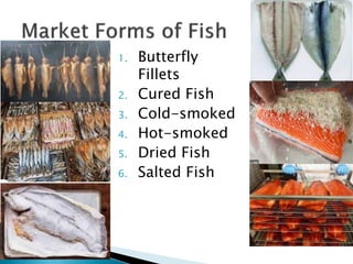 1. Butterfly
Fillets
2. Cured Fish
3. Cold-smoked
4. Hot-smoked
5. Dried Fish
6. Salted Fish
 