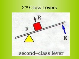 2 nd  Class Levers 