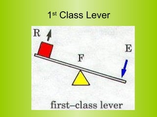 1 st  Class Lever 