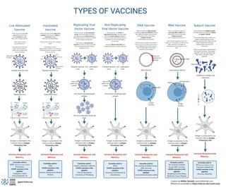 TYPES OF VACCINES
@epiCOVIDcorps Created by Nikitha Ramesh using BioRender.com
References avaialable at https://sites.bu.edu/covid-corps
These vaccines use antigenic protein
from the disease causing virus without
any genetic material.
They are relatively safer as there is no
genetic material and they cannot
replicate inside the body. They focus the
immune response on the most
important part of the virus for
protection.
These vaccines require multiple doses
for long term immunity. They require
adjuvants which are ingredients that
help create a stronger immune
response.
 