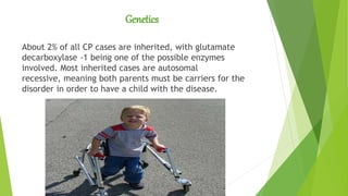 Genetics
About 2% of all CP cases are inherited, with glutamate
decarboxylase -1 being one of the possible enzymes
involved. Most inherited cases are autosomal
recessive, meaning both parents must be carriers for the
disorder in order to have a child with the disease.
 