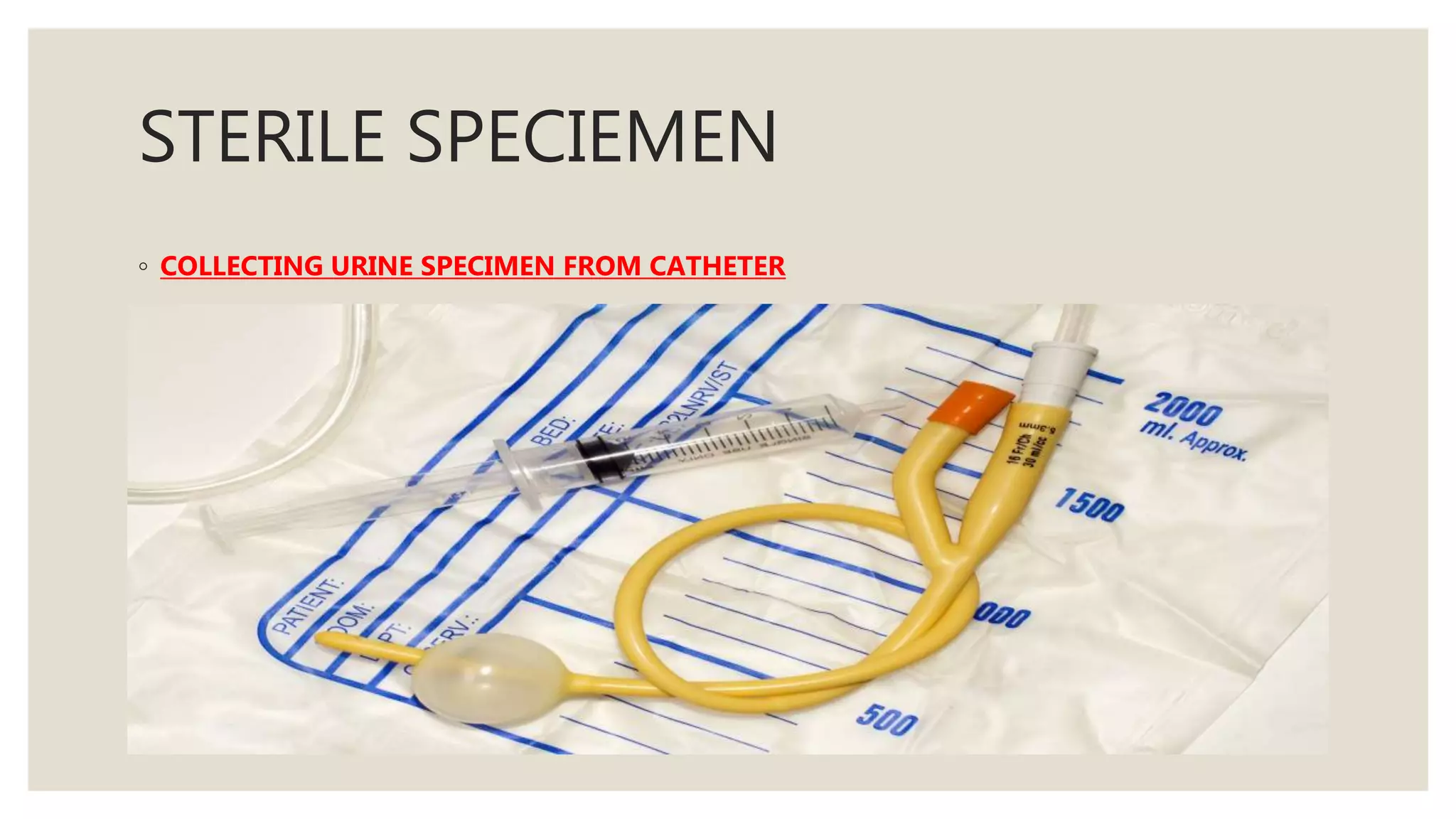 STERILE SPECIEMEN
◦ COLLECTING URINE SPECIMEN FROM CATHETER
 