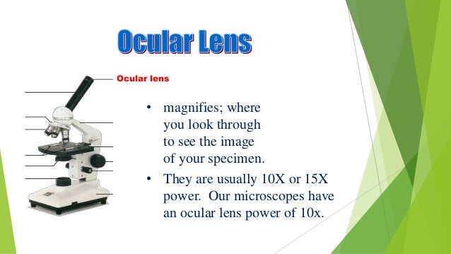 Types And Functions Of Microscope