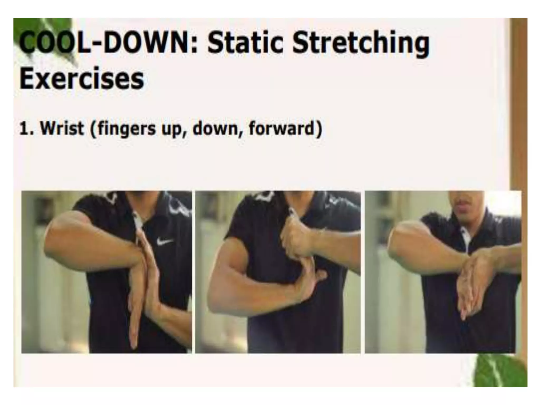 Types and phases of exercise